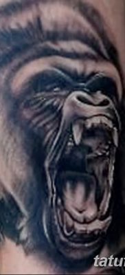 снимка на татуировка на горила от 27.08.2017 г. №035 - Горила татуировка -