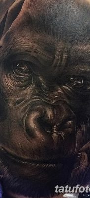 снимка на татуировка на горила от 27.08.2017 г. №044 - Горила татуировка -