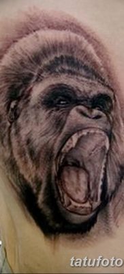 снимка на татуировка на горила от 27.08.2017 г. №045 - Горила татуировка -