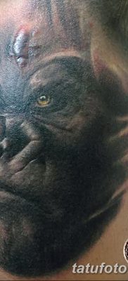 снимка на татуировка на горила от 27.08.2017 г. №057 - Горила татуировка -