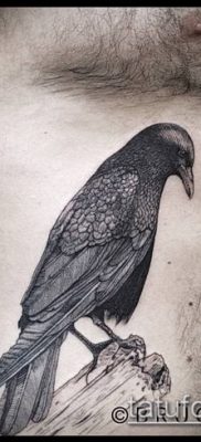 гравиране на татуировка # 455 е достойна версия на рисунка, която може успешно да се използва за обработка и нанасяне на гравюра върху ръката като татуировка