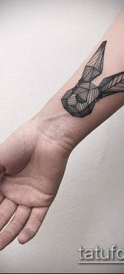 гравиране на татуировка # 547 е уникална версия на модела, която може успешно да се използва за промяна и гравиране на животни като татуировка