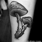 fotó egy tetoválógombáról 2019.03.27. №012 - tetoválógomba -