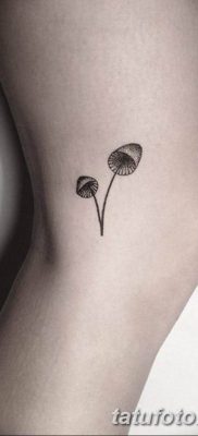 fotó egy tetoválógombáról 2019.03.27. №033 - tetoválógomba -