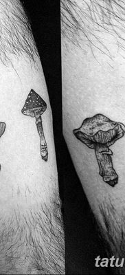 fotó egy tetoválógombáról 2019.03.27. №037 - tetoválógomba -