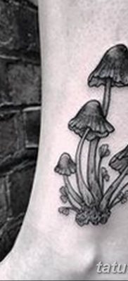 fotó egy tetoválógombáról 2019.03.27. №038 - tetoválógomba -