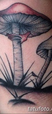 fotó egy tetoválógombáról 2019.03.27. №039 - tetoválógomba -