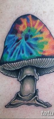 fotó egy tetoválógombáról 2019.03.27. №043 - tetoválógomba -