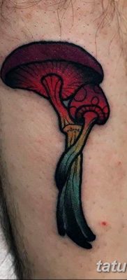 fotó egy tetoválógombáról 2019.03.27. №044 - tetoválógomba -