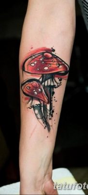fotó egy tetoválógombáról 2019.03.27. №046 - tetoválógomba -