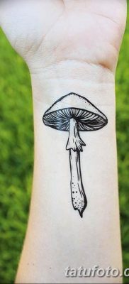 fotó egy tetoválógombáról 2019.03.27. №063 - tetoválógomba -