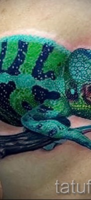 Kaméleon tetoválás - fényképes példa egy jelentésről szóló cikkhez 14012016 47