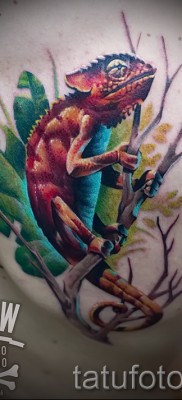 Kaméleon tetoválás - fényképes példa egy jelentésről szóló cikkhez 14012016 45