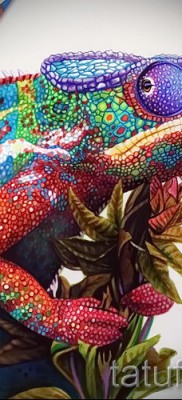 Kaméleon tetoválás - fényképes példa egy jelentésről szóló cikkhez 14012016 42