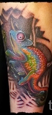 Kaméleon tetoválás - fényképes példa egy jelentésről szóló cikkhez 14012016 39