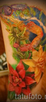 Kaméleon tetoválás - fényképes példa egy jelentésről szóló cikkhez 14012016 36