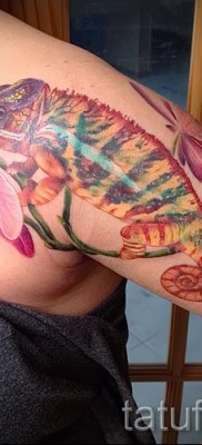 Kaméleon tetoválás - fényképes példa egy jelentésről szóló cikkhez 14012016 34