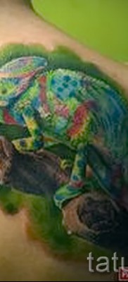 Kaméleon tetoválás - fényképes példa egy jelentésről szóló cikkhez 14012016 33