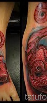 Kaméleon tetoválás - fényképes példa egy jelentésről szóló cikkhez 14012016 31