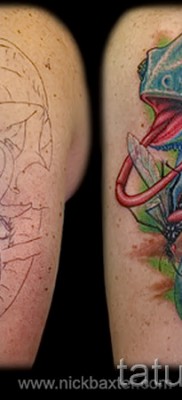 Kaméleon tetoválás - fényképes példa egy jelentésről szóló cikkhez 14012016 15