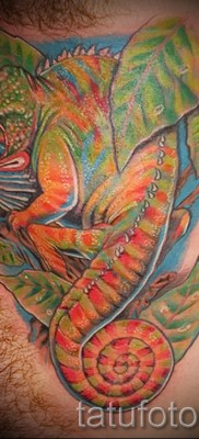 Vicces fotó kaméleon tetoválással 1