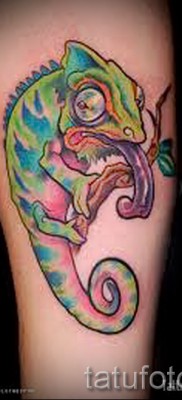 Kaméleon tetoválás - fényképes példa egy jelentésről szóló cikkhez 14012016 12