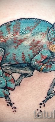 Kaméleon tetoválás - fényképes példa egy jelentésről szóló cikkhez 14012016 10
