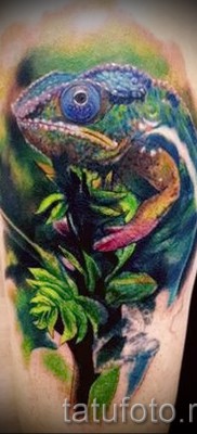 Kaméleon tetoválás - fényképes példa egy jelentésről szóló cikkhez 14012016 8