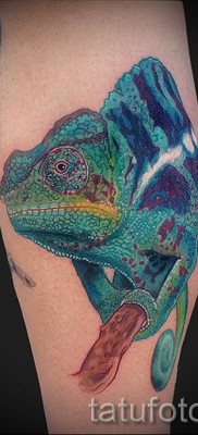 Kaméleon tetoválás - fényképes példa egy jelentésről szóló cikkhez 14012016 7