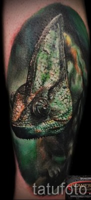 Kaméleon tetoválás - fényképes példa egy jelentésről szóló cikkhez 14012016 4