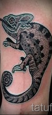 Kaméleon tetoválás - fényképes példa egy jelentésről szóló cikkhez 14012016 3