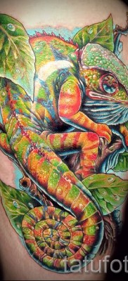 Kaméleon tetoválás - fényképes példa egy jelentésről szóló cikkhez 14012016 2