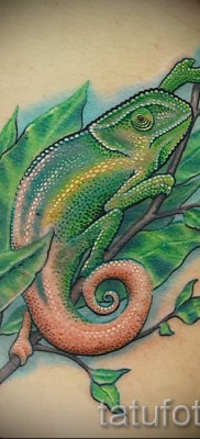 Kaméleon tetoválás - fényképes példa egy jelentésről szóló cikkhez 14012016 1