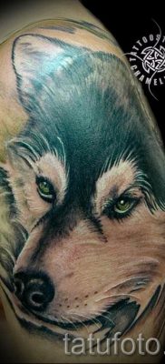Husky tetovaža - foto primjer gotove tetovaže za članak o značenju 60