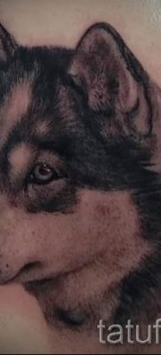 Husky tetovaža - foto primjer gotove tetovaže za članak o značenju 56