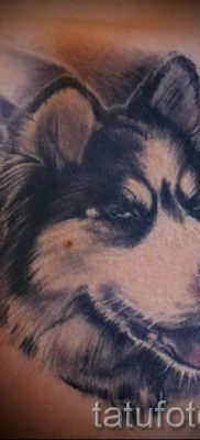 Husky tetovaža - foto primjer gotove tetovaže za članak o značenju 54