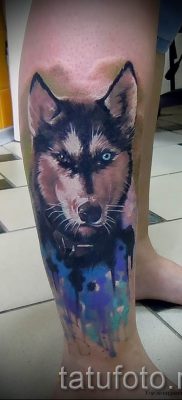Husky tetovaža - foto primjer gotove tetovaže za članak o značenju 53