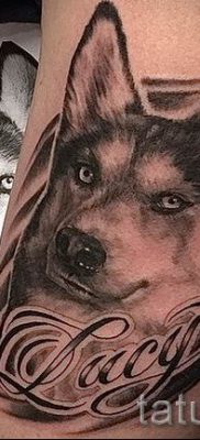 Husky tetovaža - foto primjer gotove tetovaže za članak o značenju 52