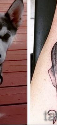 Husky tetovaža - foto primjer gotove tetovaže za članak o značenju 51