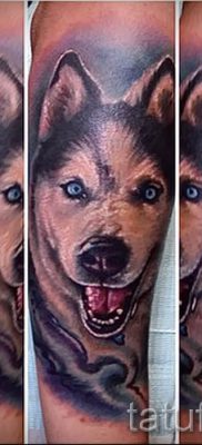 Husky tetovaža - foto primjer gotove tetovaže za članak o značenju 46