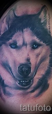 Husky tetovaža - foto primjer gotove tetovaže za članak o značenju 44