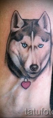 Husky tetovaža - foto primjer gotove tetovaže za članak o značenju 43
