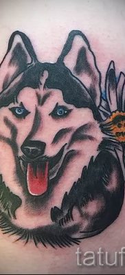 Husky tetovaža - foto primjer gotove tetovaže za članak o značenju 42