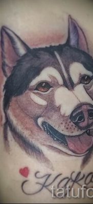 Husky tetovaža - foto primjer gotove tetovaže za članak o vrijednosti 40