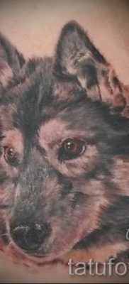 Husky tetovaža - foto primjer gotove tetovaže za članak o značenju 34