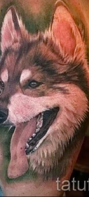 Husky tetovaža - foto primjer gotove tetovaže za članak o značenju 32