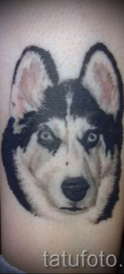 Husky tetovaža - foto primjer gotove tetovaže za članak o značenju 29