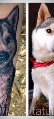 Husky tetovaža - foto primjer gotove tetovaže za članak o značenju 27