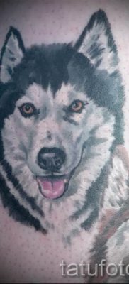 Husky tetovaža - foto primjer gotove tetovaže za članak o značenju 24