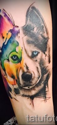 Husky tetovaža - foto primjer gotove tetovaže za članak o značenju 23